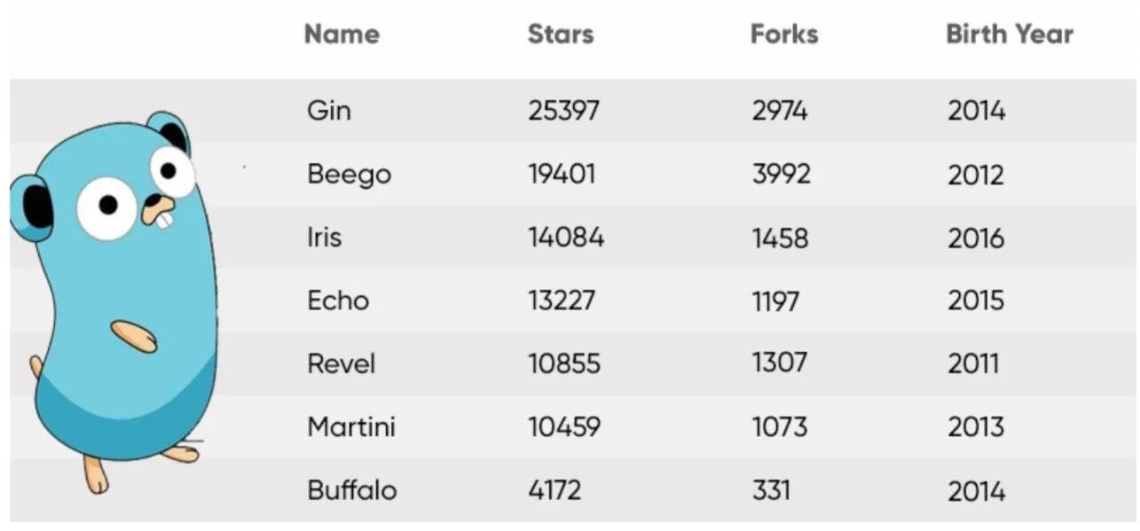 Golang framework. Книги по golang. Golang echo. Golang книга. Golang бакет.