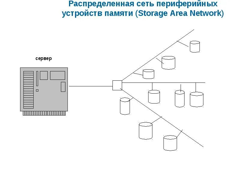 Сеть распределения. Сеть распределения