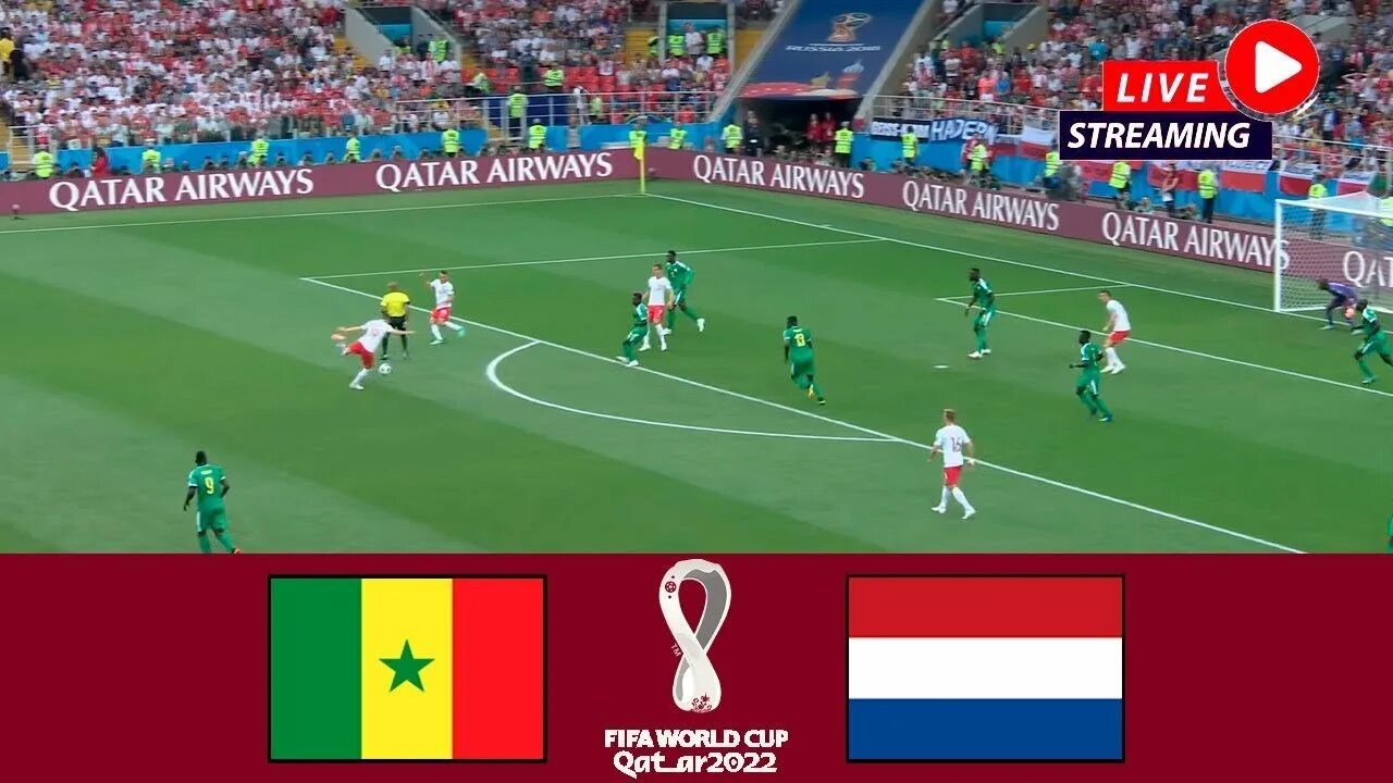 Футбольные трансляции stream. Матч Сенегал Нидерланды. Нидерланды Сенегал 2022. FIFA+ стрим. Netherlands World Cup 2022.