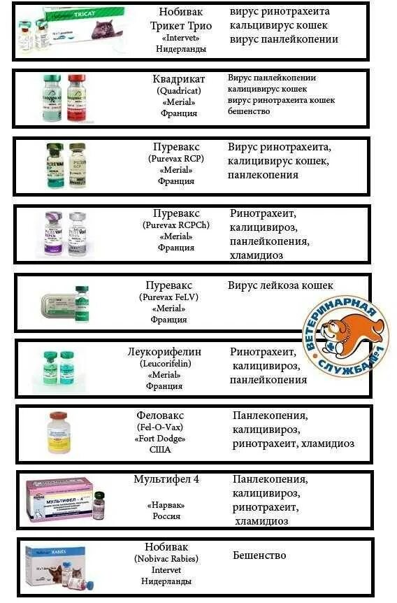 Схема вакцинации собак и кошек. Схема вакцинации котов Нобивак. Вакцина для щенков схема и название. Вакцинация котят Нобивак схема.