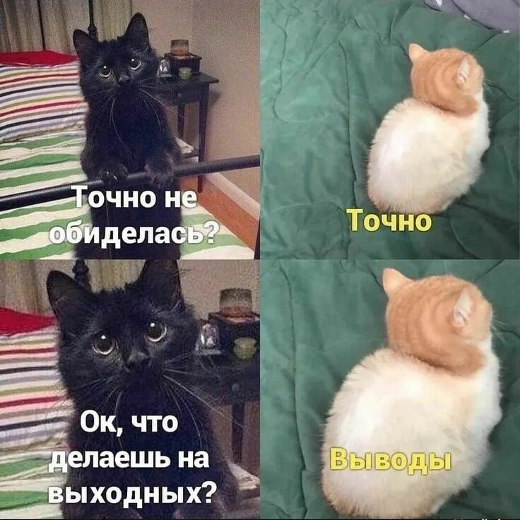 Приколы про опель смешные. Обиженные мужчины цитаты. Вот она обиделась. Обиделась нет сильно. Ложь пиздеж и провокация.