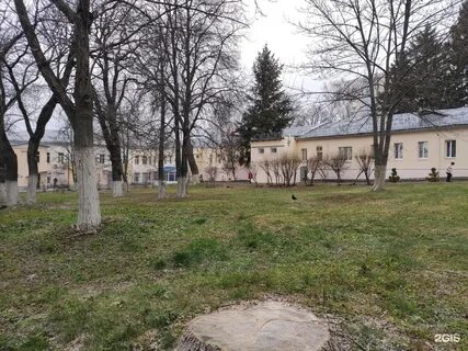Кожвендиспансер курск телефон