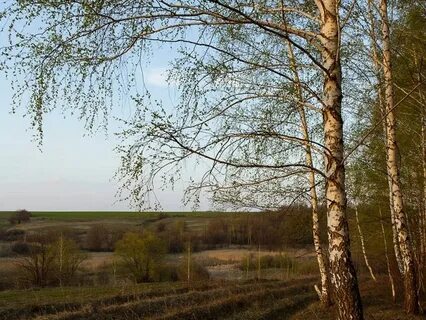 Гидрометцентр великие луки на 10 дней