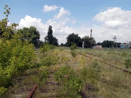 Войковая
