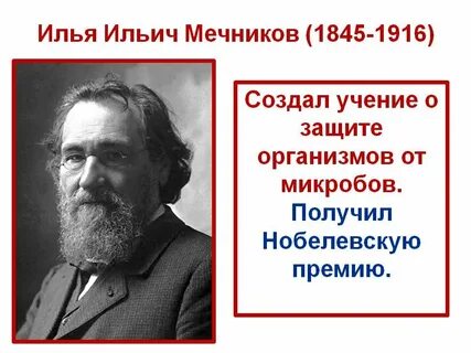 Учение мечникова