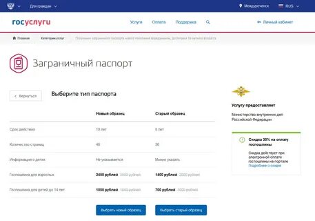 Сколько лет госуслугам