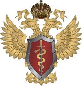 Российская фскн