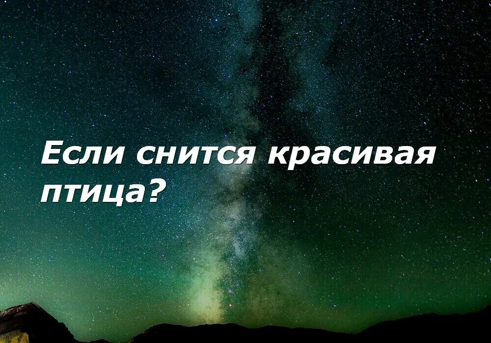 К чему снится бегать. Красный туман приснился. К чему снится туман во сне. К чему снится туман во сне. Сонник-толкование свадьба.