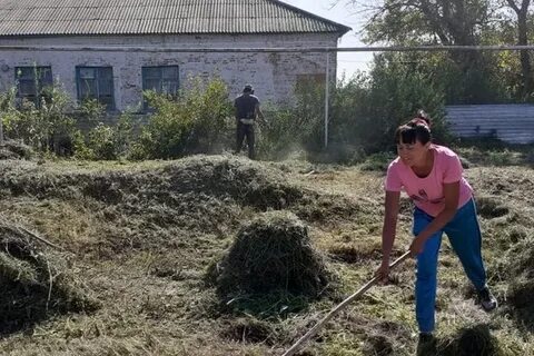 Погода дячкино