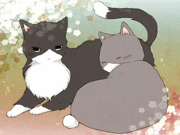 Моя кошка! Милые котики, Искусство черных кошек, Котята