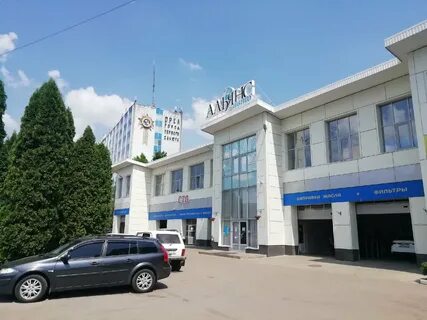 Орел наугорское