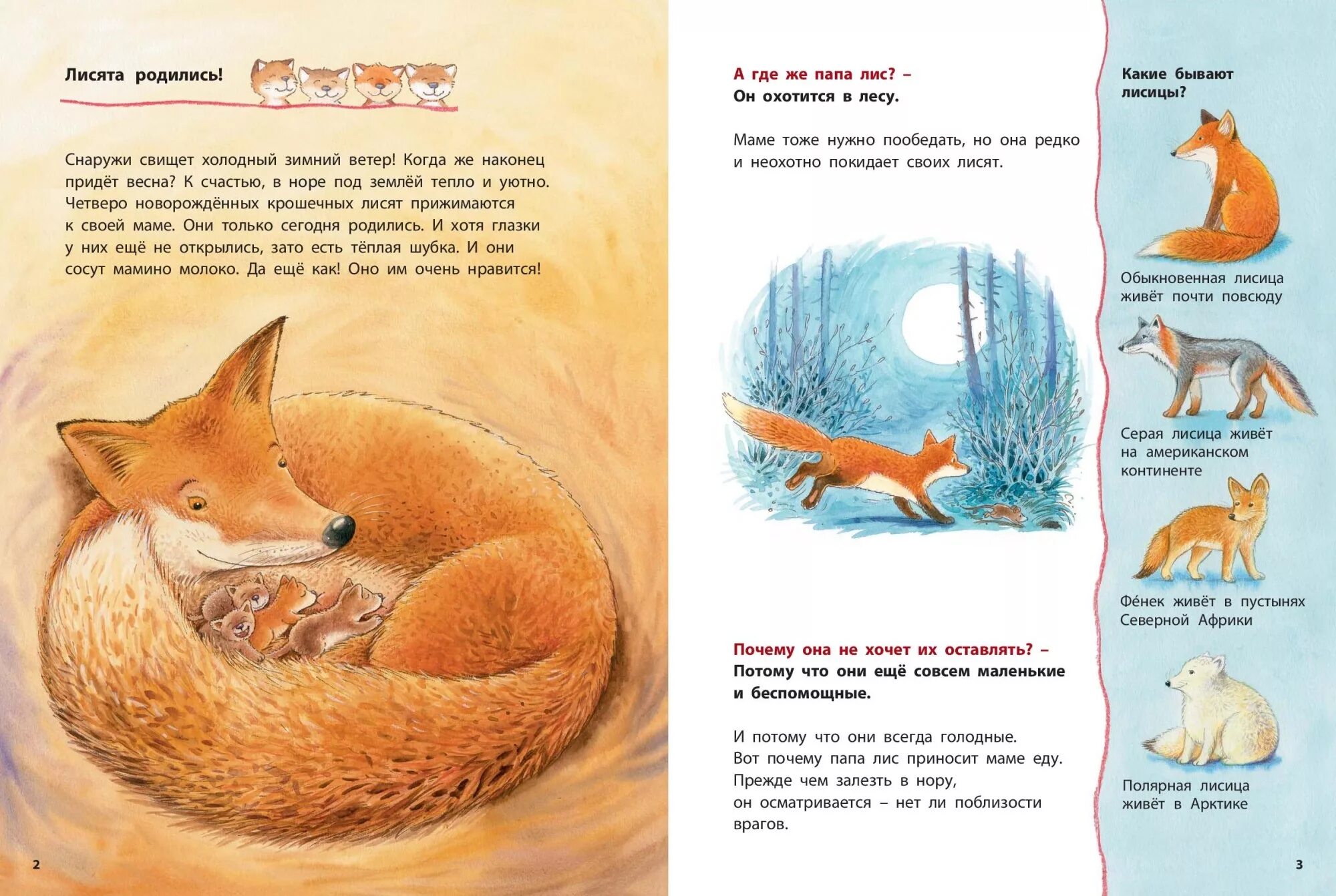 Книги познавательные рассказы. Книги про лисят для дошкольников. Рассказ про лису. Книги про лисиц. Рассказы о лисах для детей.