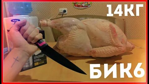 Бик 6