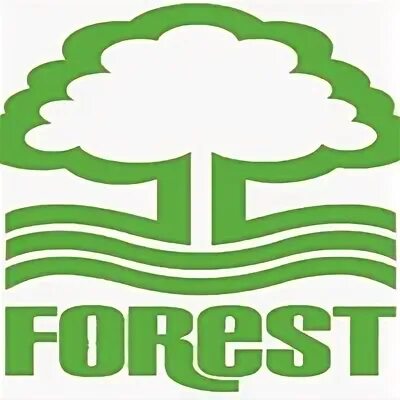 Форест групп. Форест групп