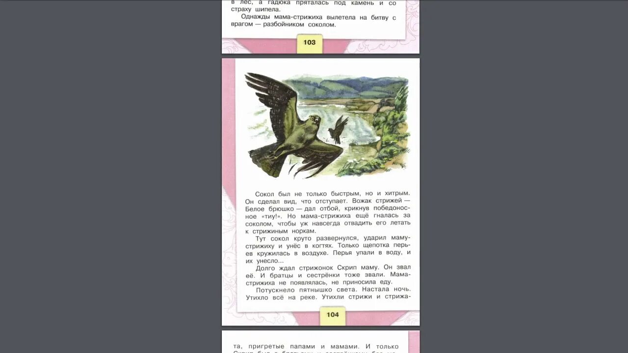 Стрижонок скрип составить вопросы. Литературное чтение 4 класс Стрижонок скрип в.Астафьев. Стрижонок скрип 4 класс литературное чтение. План Стрижонок скрип 4 класс литературное чтение.