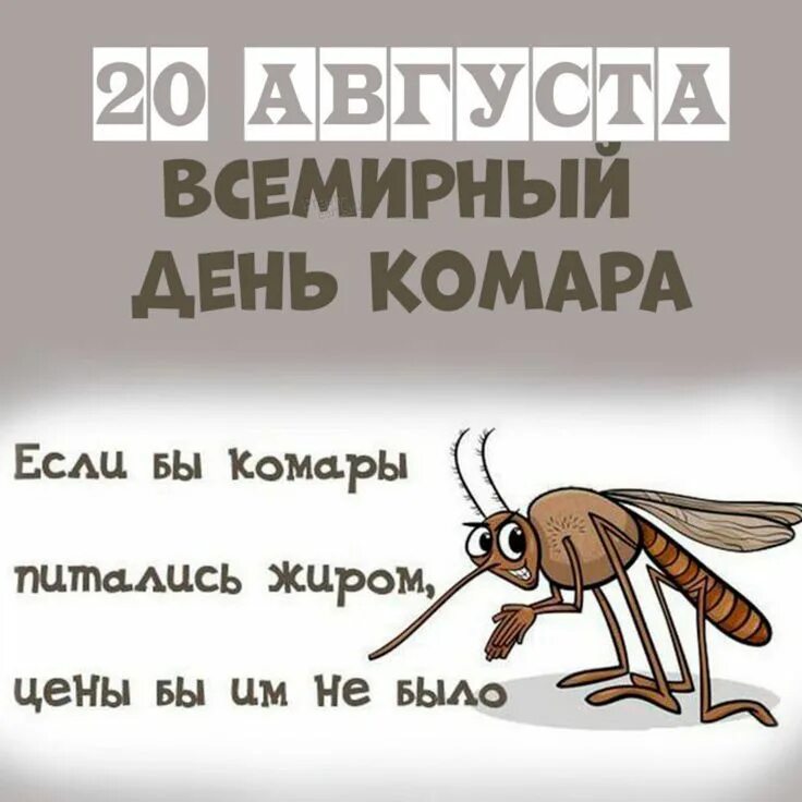 Комары юмор. Всемирный день комара 20 августа. Cс днем комара. Пожелания всемирный день комара. День комара 20 августа.