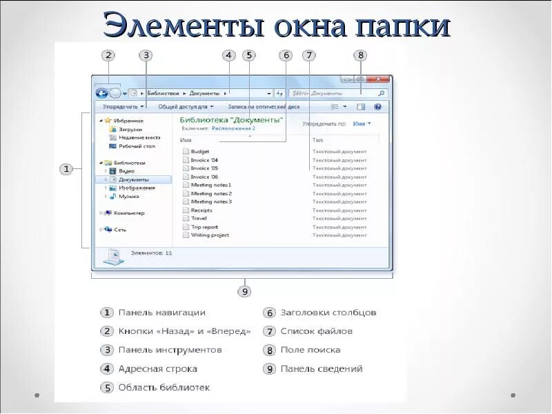 Документы элементы управления. Элементы окна папки. Основные элементы окна папки. Название элементов окна папки. Структура окна папки.