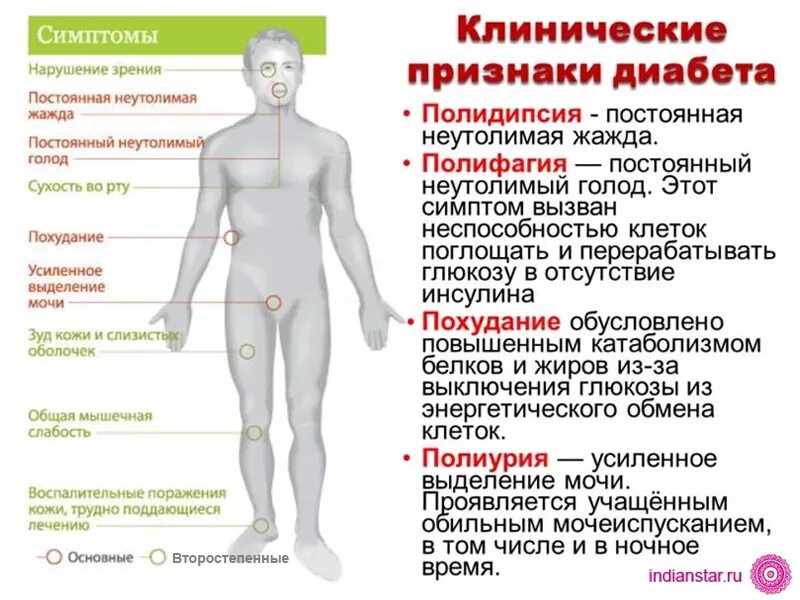 Повышенный сахар у мужчин причины. Симптомы диабета. Проявление сахарного диабета. Симптомы сахарного. Сахарный диабет симптомы.