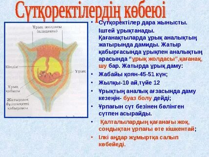 Жынды әйелмен порно