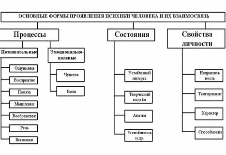 Формы проявления информации