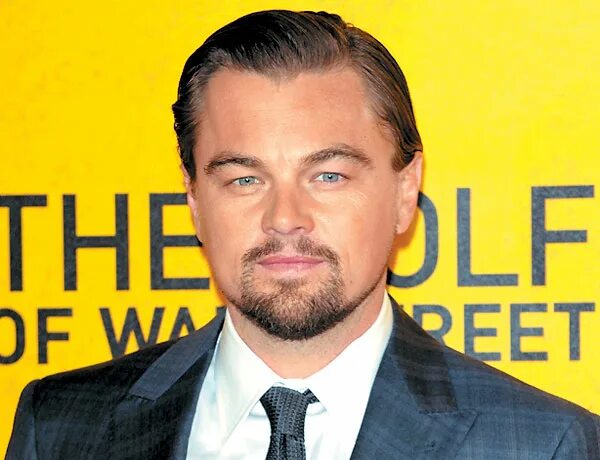 леонардо ди вес