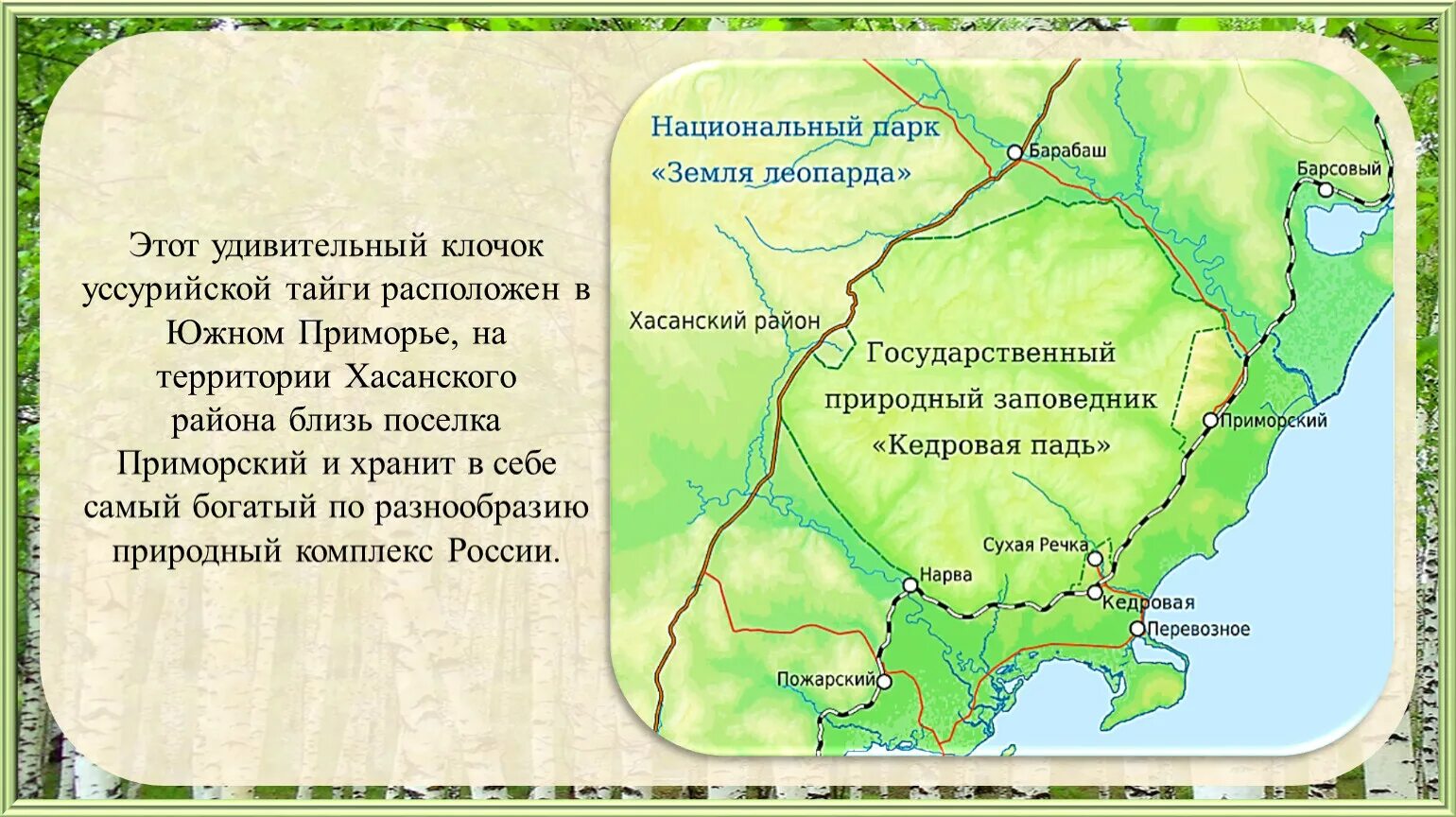 Уссурийский заповедник Кедровая Падь. Кедровая Падь Владивосток заповедник. Заповедник Кедровая Падь на карте Приморского края. Кедровая Падь заповедник на карте. Уссурийский край вошел в состав