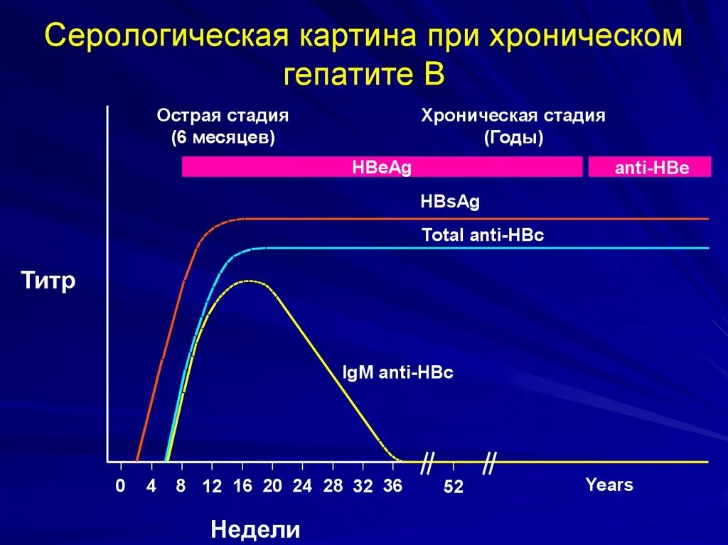 Показатели острого и хронического гепатита с. Серологический профиль хронического гепатита б. Хронический гепатит показатели. Острая фаза хронического гепатита b. Стадии вирусного гепатита