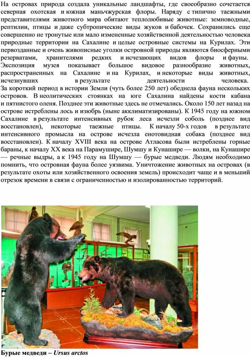 Флоридская пума животное. Рысь дальневосточная. Гобийский бурый медведь. Макензийский волк. Лев биография животного.