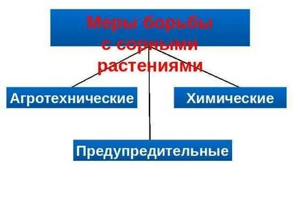 Меры борьбы с сорными растениями