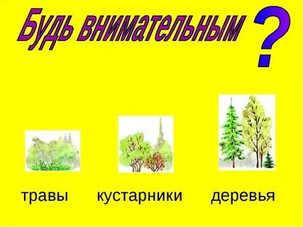 Название деревьев кустарников и трав