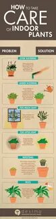 Take plants