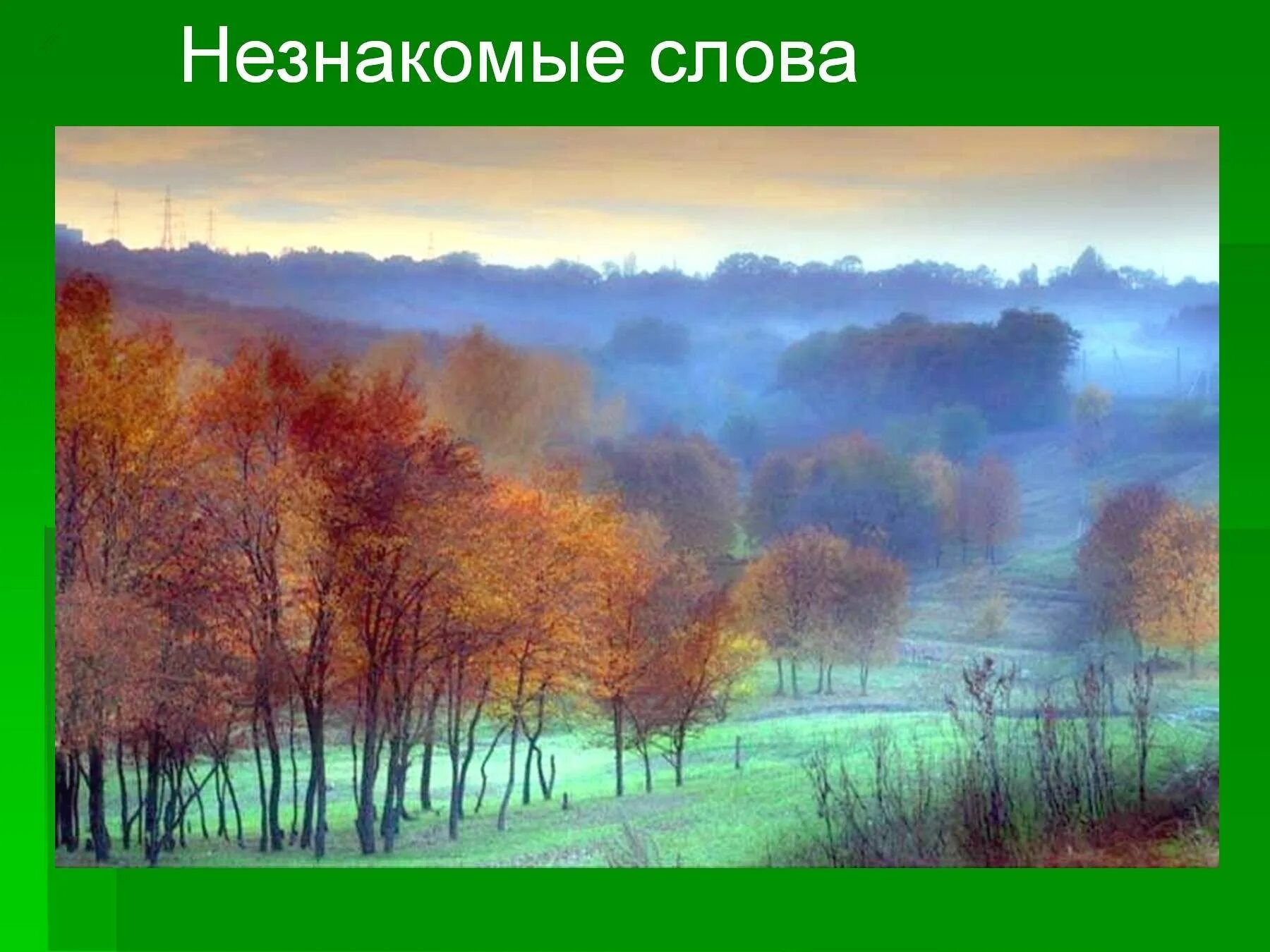 Казаков тихое утро краткое содержание для читательского. Ю.П. Казакова «тихое утро». Тихое утро Казаков иллюстрации. Иллюстрации к рассказу Казакова тихое утро.