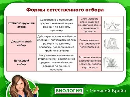 Егэ естественный
