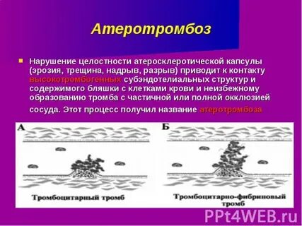 Целостность 8