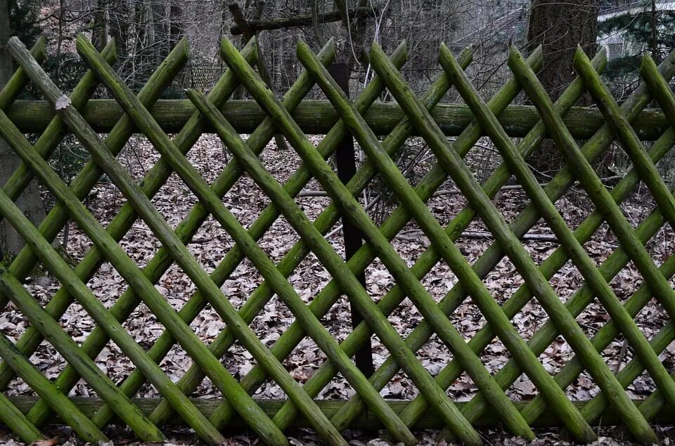 Roof fencing