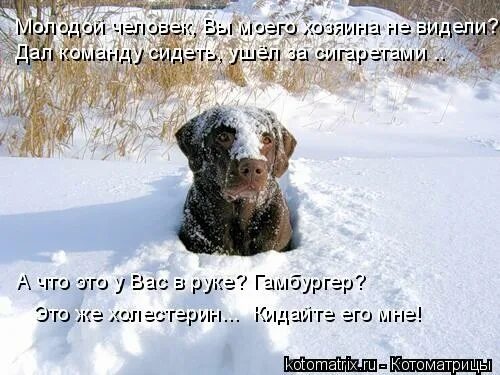 я бы не уходила сидела терла. я странная цитаты. я бы не уходила сидела терла. шутка про единственную. васнецов сестрица аленушка.