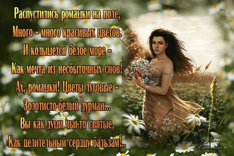 Света стихнет моя