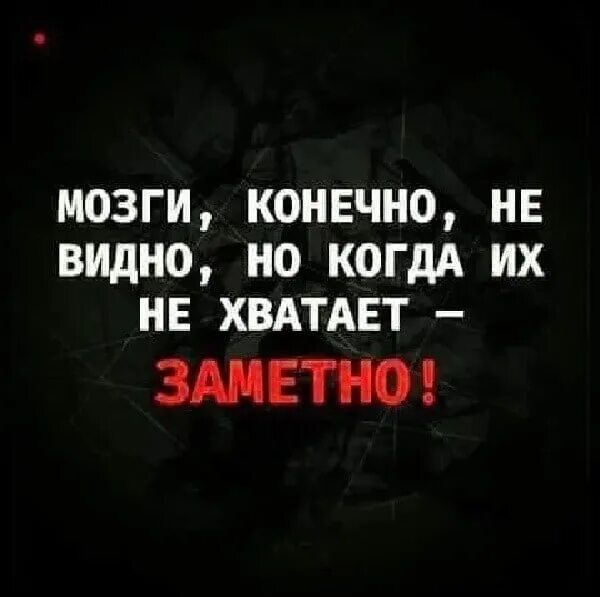 Мозги не на месте. Мозги не видно. Цитаты про мозги. Нет мозгов цитаты. Мозги конечно не видно но когда.