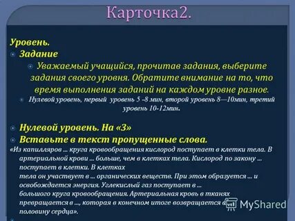 Нулевой уровень