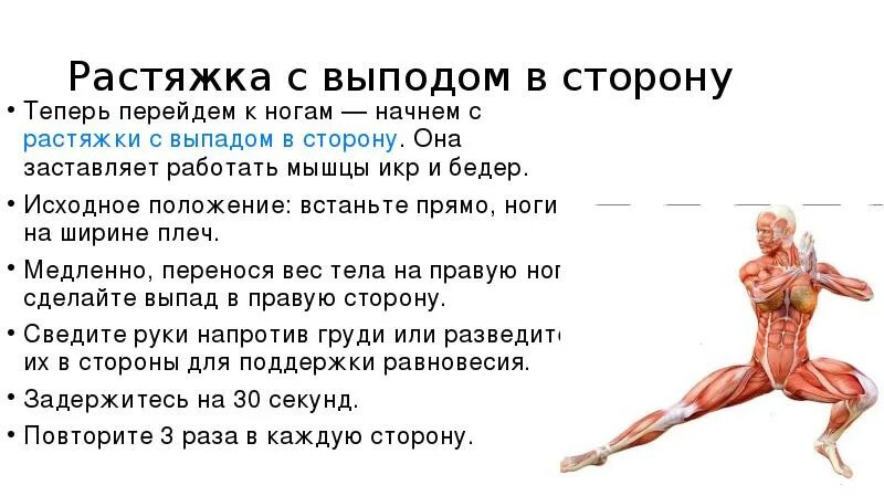 Мышцы работающие при ударе. Выпады для растяжки ног. прыжки какие мышцы работают. выпады в сторону мышцы. выпады в сторону какие мышцы работают.