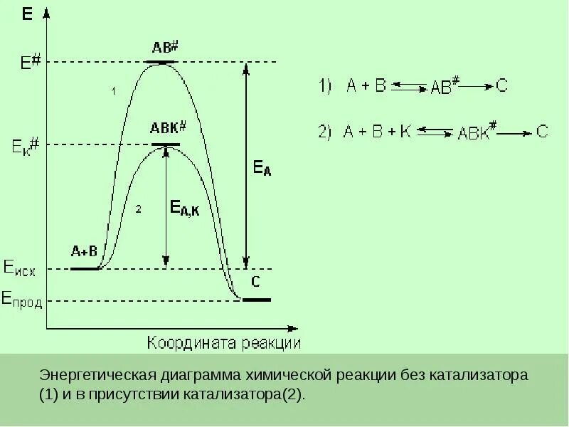 Без реакции. Без реакции