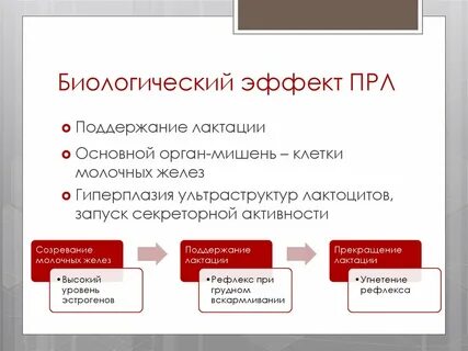 Дбт терапия
