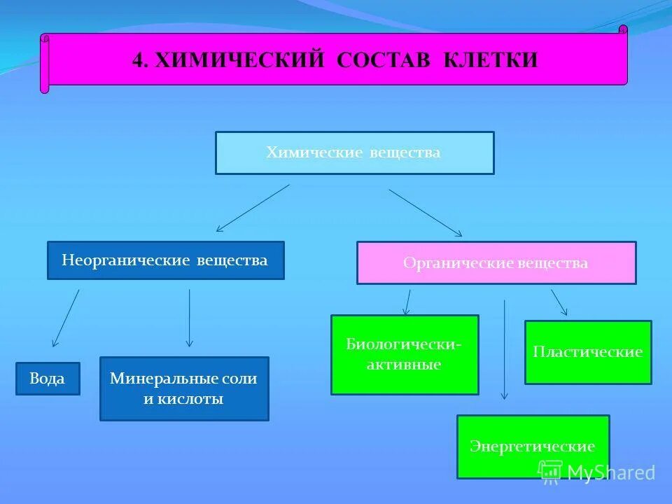Клетка состоит из органических и неорганических. Химический состав клетки органические вещества. Состав клетки неорганические вещества органические вещества. Химический состав клетки неорганические. Органические вещества в составе клетки.