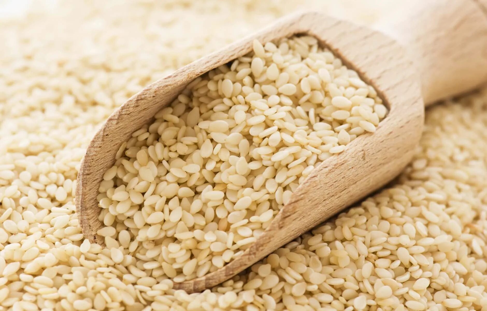 Кунжут сканворд 5. Кунжут(sesame). кунжут белый, семена. индийский кунжут сезам. кунжут белый весовой.