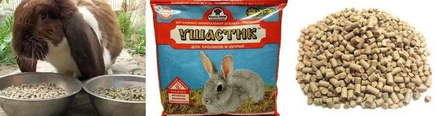 Можно ли кроликам перловку