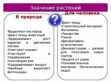Выписать 15 примеров растений и их значение Значение растений в природе пример растений