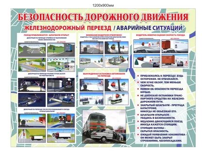 Безопасность движения транспортных