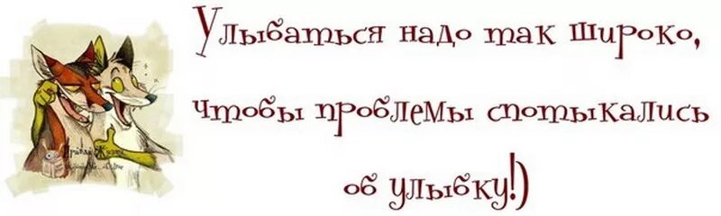 Смешные фразы поздравления с др. Смешные цитаты про день рождения. Прикольные фразы на день рождения. Смешные фразы на день рождения. Смешные фразы день рождения короткие