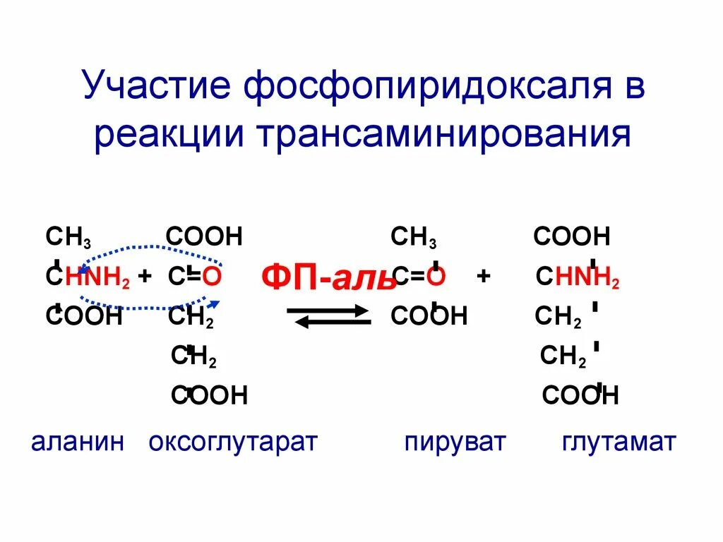 Сн3 соон. Участие фосфопиридоксаля в реакциях трансаминирования. реакция трансаминирования. участвует фосфопиридоксаль. сн соон.