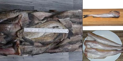 как выглядит минтай с головой фото